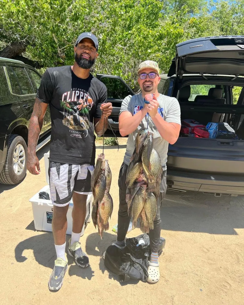 例如当年凯 例如当年凯